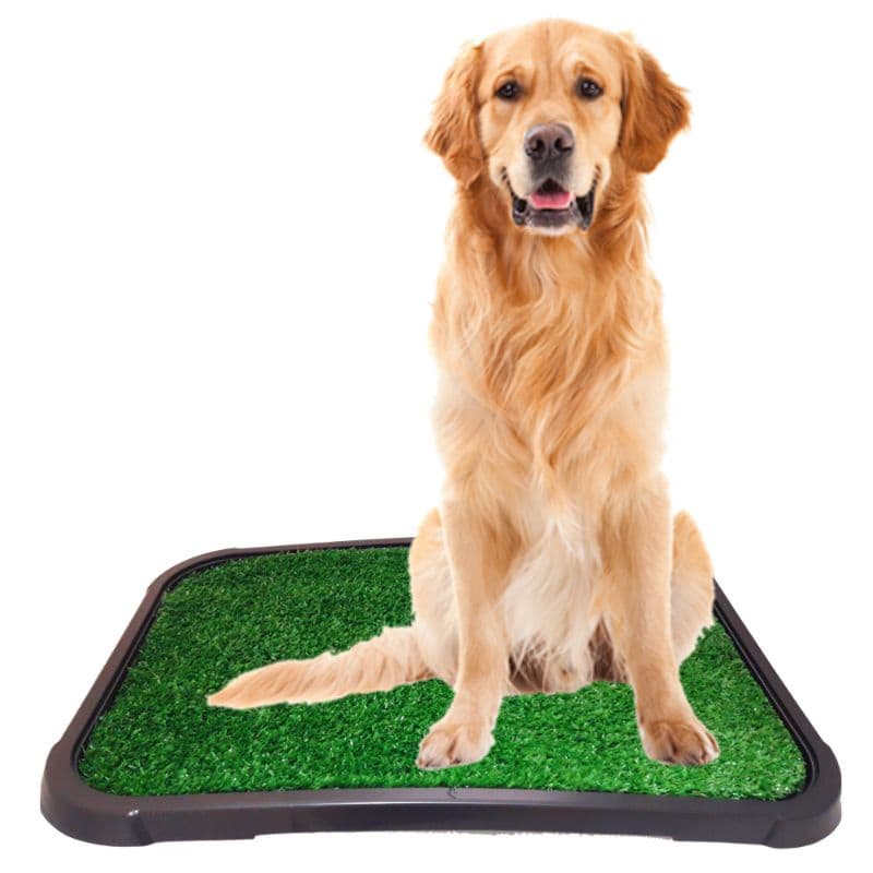 Sanitário Canino Xixi Dog Banheiro Pet Tapete Higiénico de Grama Cães