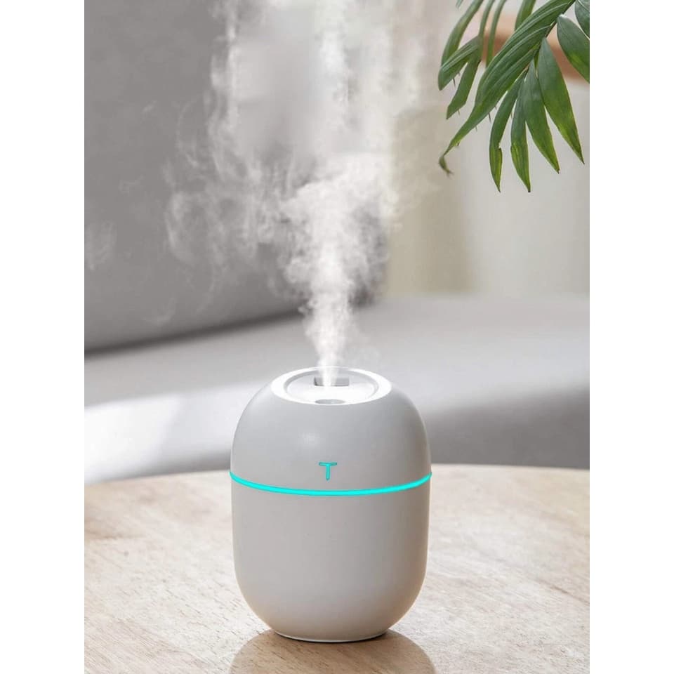 Umidificador De Ar - Saude Em Dia - Envio Imediato - Umidifica O Ar - Resfriador Usb
