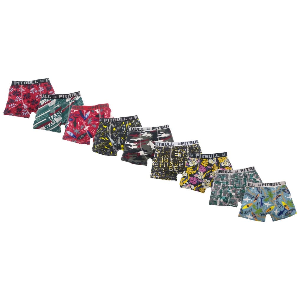 Cueca Juvenil Boxer Estampada Poliéster Pitbull Cores