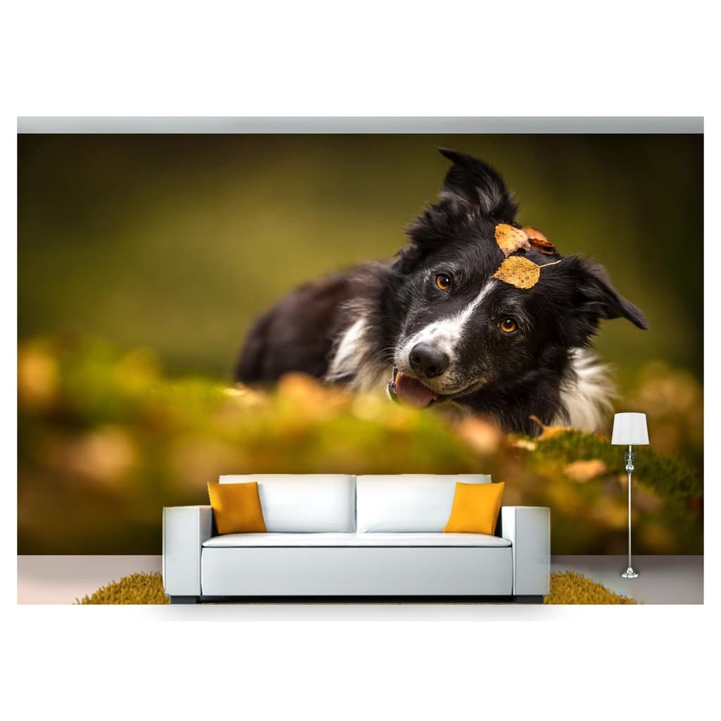 papel de parede Animais cachorro grama 3D 10m² ANM144