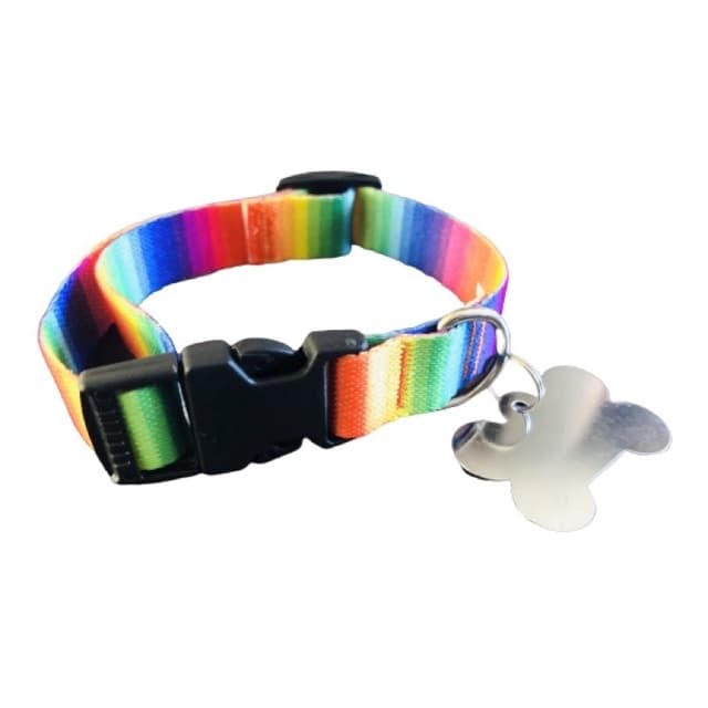 kit 3 Coleiras com Placa de Identificação Cachorro Gato Pet Tamanho P M e G