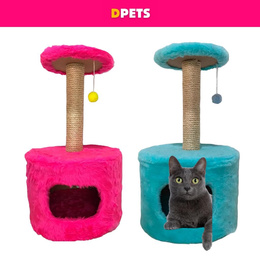 Arranhador Gato Toca Casinha Diversas Cores Brinquedo