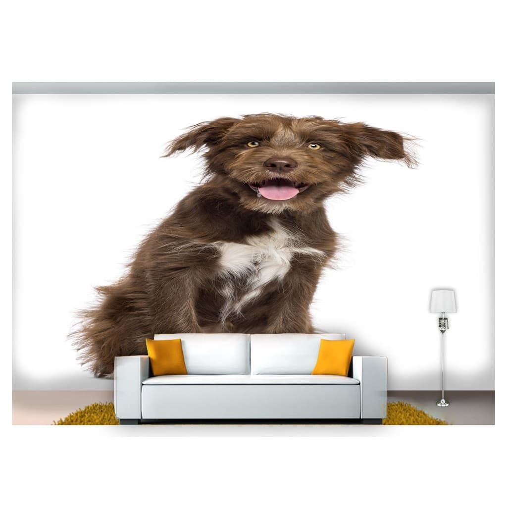 papel de parede Animais cachorro sentado 3D m² ANM244