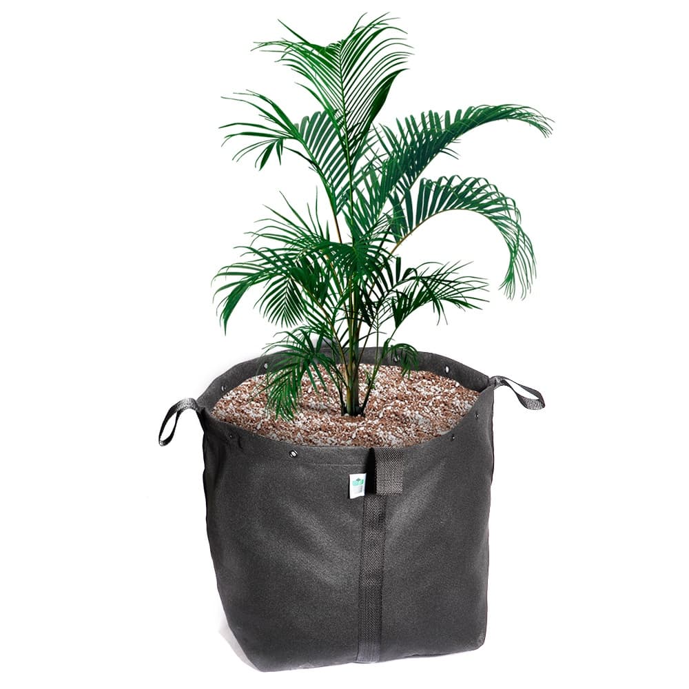 Vaso Plantas Árvores em Feltro 140 Litros Vaso Grande Frutíferas - King Pot Vasos