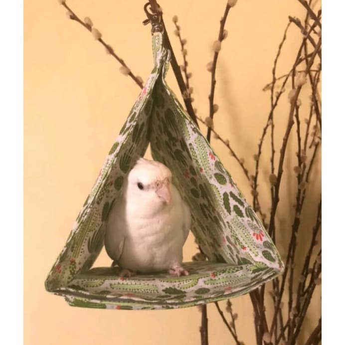 Cabaninha para calopsita - cabana para aves - cabana para calopsitas - cabana agapornis