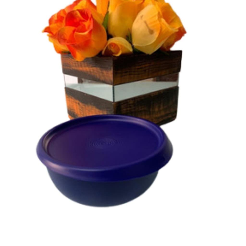 TUPPERWARE TIGELA TOQUE MÁGICO 550ML AZUL
