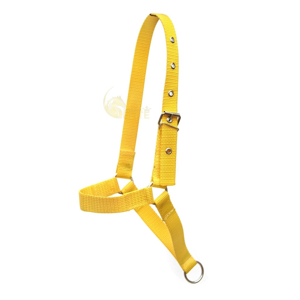 Cabresto Personalizado Para Caprinos/Ovinos