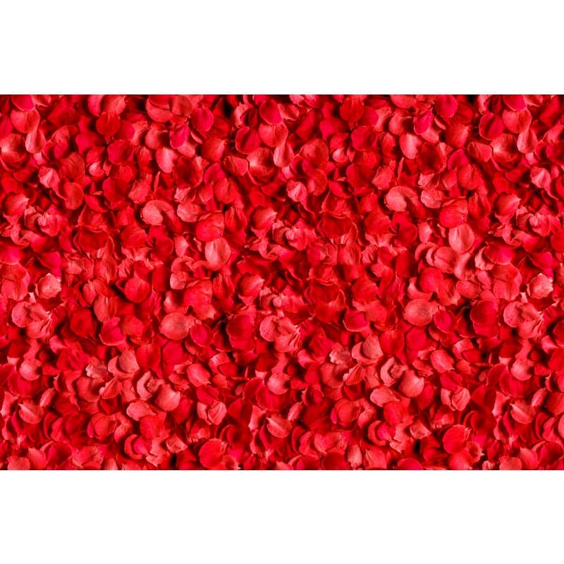 500 Pétalas De Rosas Artificiais Na Cor Vermelha