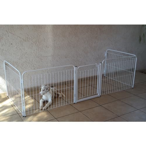 Cercado Grade Canil 4/65 Com Portão BRANCO