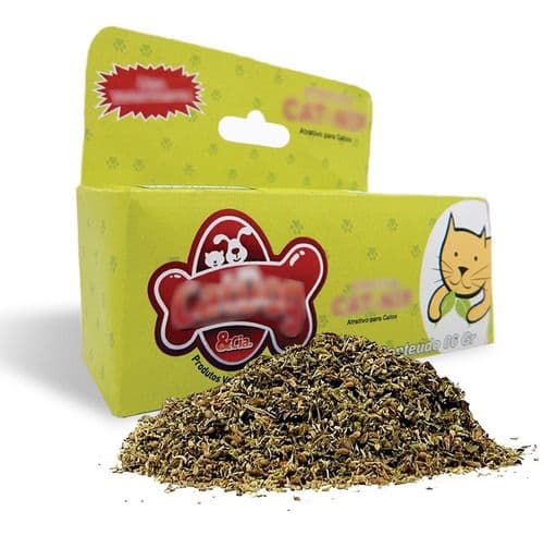 Catnip Erva Do Gato Pet Natural 1 Caixa 6g