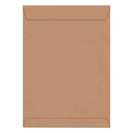 Envelope Saco Kraft Pardo SKN034 Ofício 240x340 Scrty 20un