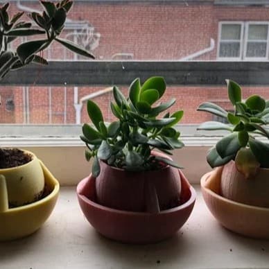 Vaso Globular Auto Irrigavel