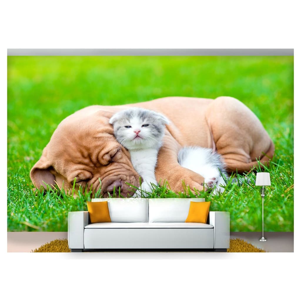 papel de parede Animais cachorro gato 3D m² ANM155