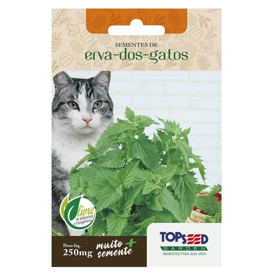 Sementes Erva Dos Gatos (Nepeta Cataria) Catnip TOPSEED
