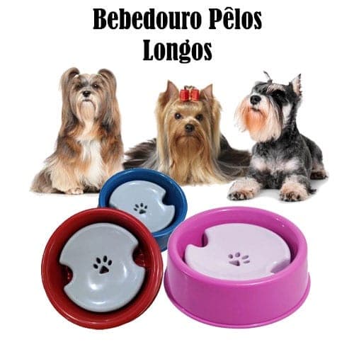 Bebedouro Para Cães | Bebedouro para Cães com Pelos Longo | Bebedouro Boia Pelos Longo.