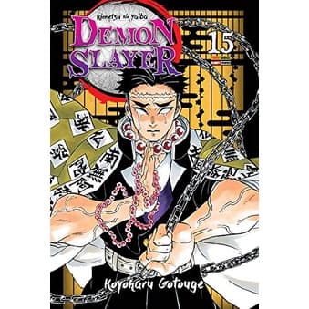 Demon Slayer - Kimetsu No Yaiba 15 - Panini