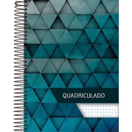 Caderno Quadriculado Univ 1x1cm 96fls. Espiral Cd Pct.c/04.