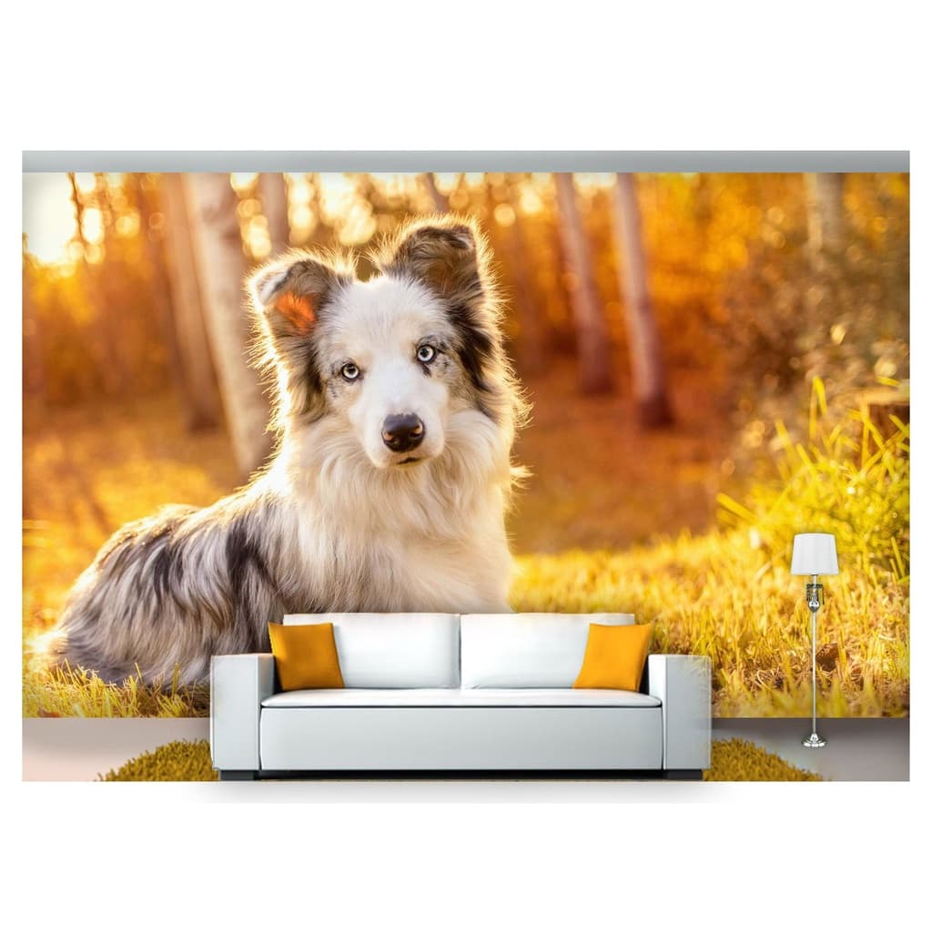 papel de parede Animais cachorro grama 3D m² ANM143