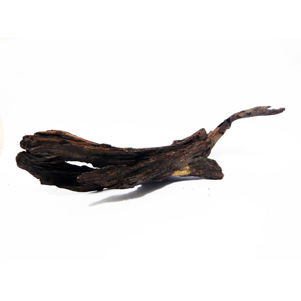 TRONCO DRIFTWOOD - Tam. XL - OCEAN TECH