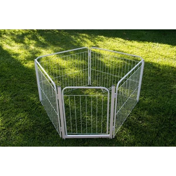 Cercado Cães Canil Pet Cachorro 4/65 + Portao 69 Altura  4 Grades + Portão