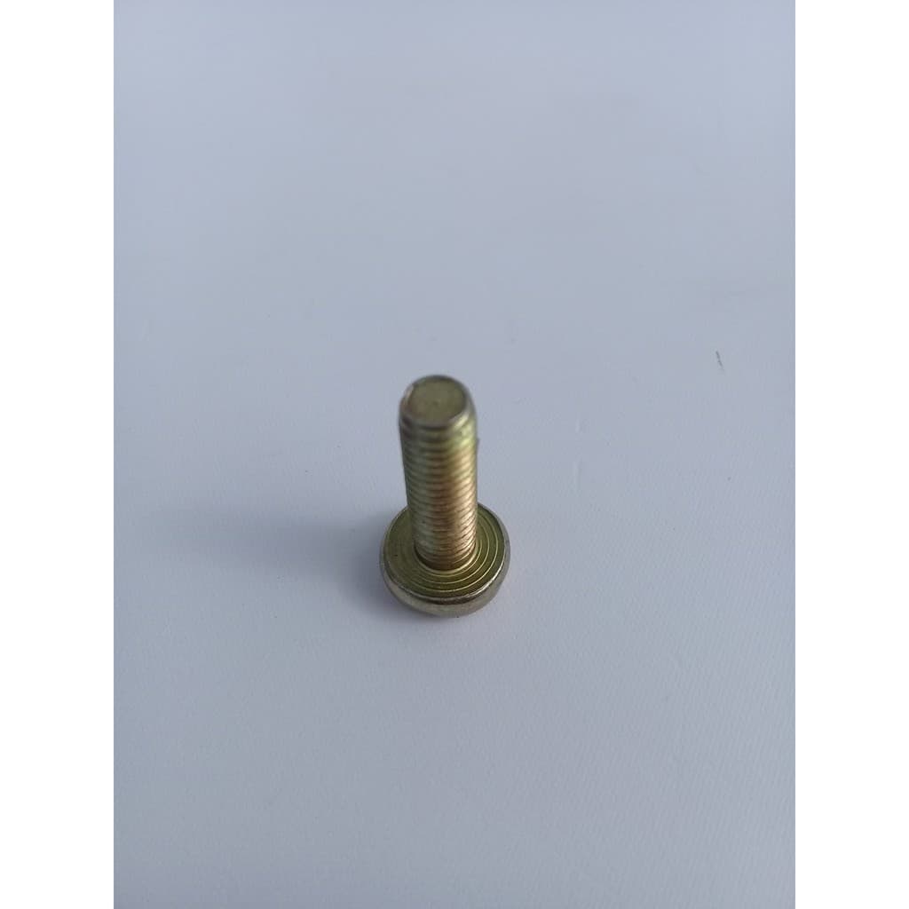 Parafuso bicromatizado Cabeça panela Phillips 6x20 (20 unidades)