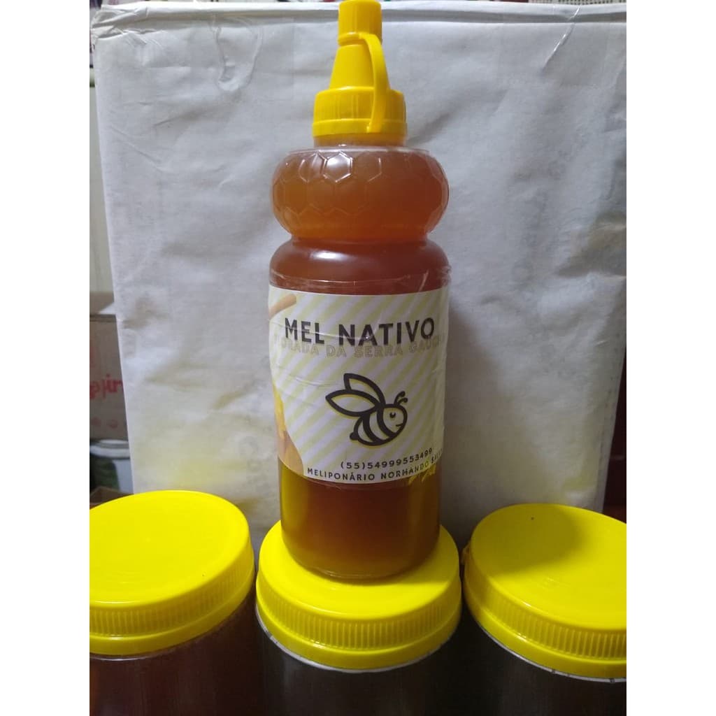 Mel 1kg - colocado em  Bisnaga, mel de mata nativa