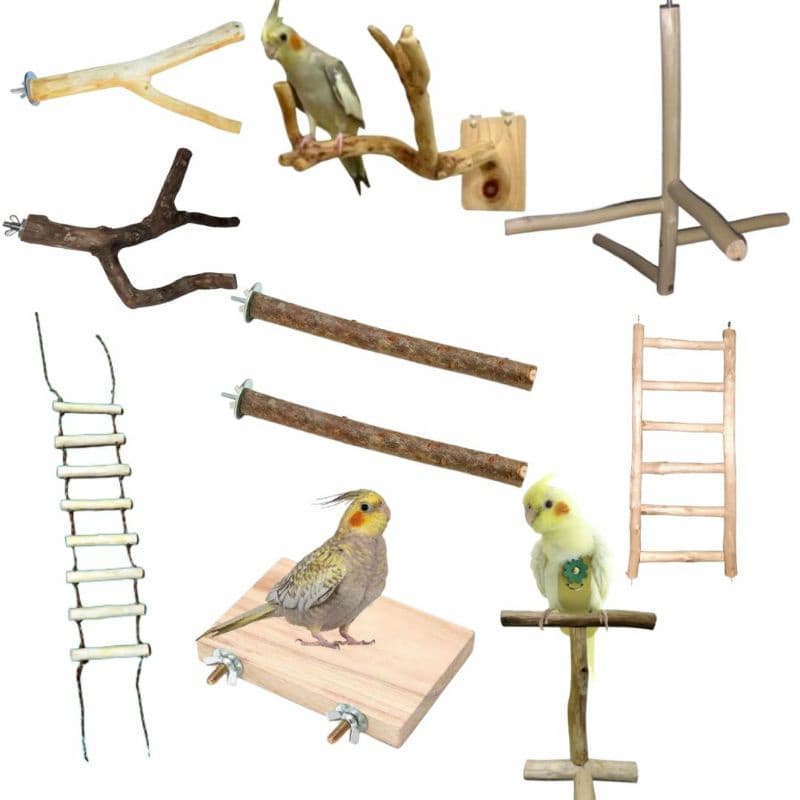 Kit  brinquedos e poleiro para Calopsitas, Papagaios, Agapornis e outros