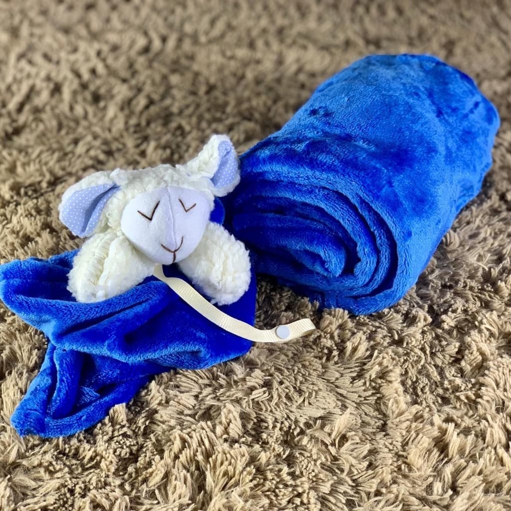 Naninha bebe + Manta bebê cobertor macio em pelúcia microfibra