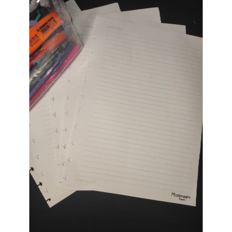 Refil A4 Pautado e liso C/ 100 folhas compatível caderno inteligente. Caderno de discos