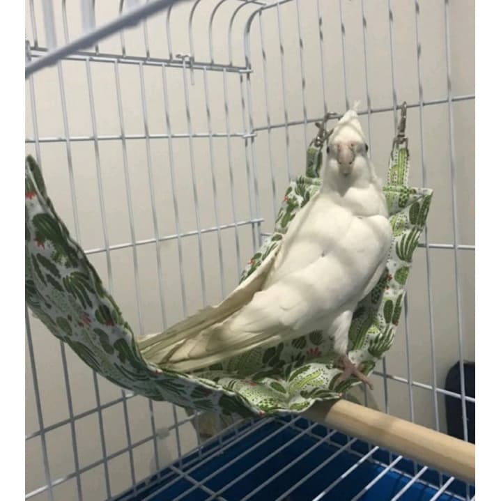 Rede para calopsita - redinha para aves - redinha para calopsitas - rede agapornis - caminha para aves