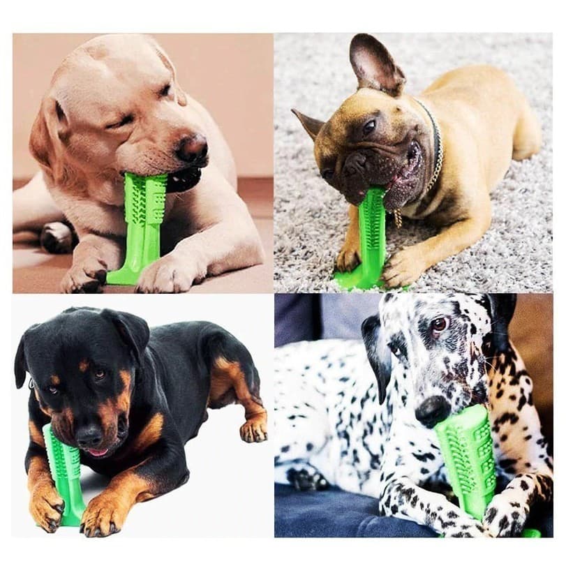 Escova De Dente E Mordedor Para Cães Toothbrus