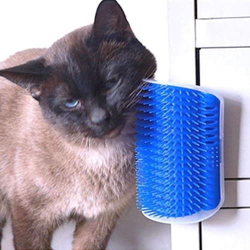 Escova Para Gatos de Parede Coçador de Canto + Catnip Erva Do Gato
