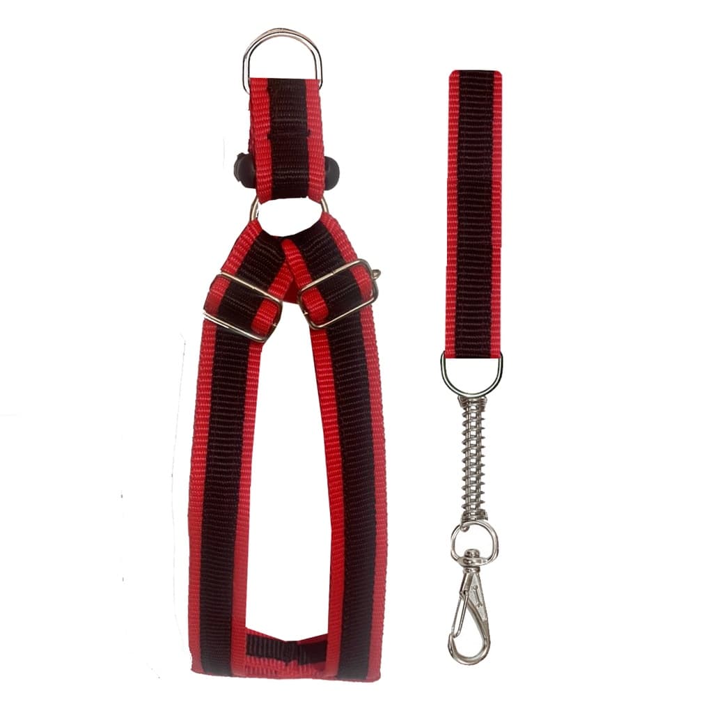 peitoral cachorro grande medio pequeno porte