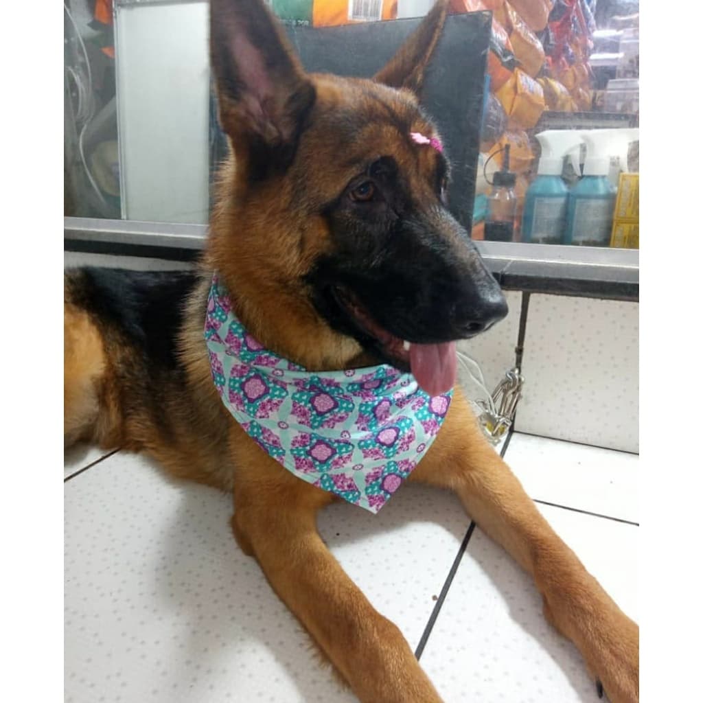 Bandana Lencinho Pet Cachorro e Gato Pet Shop Lenço Bandanas Banho e Tosa