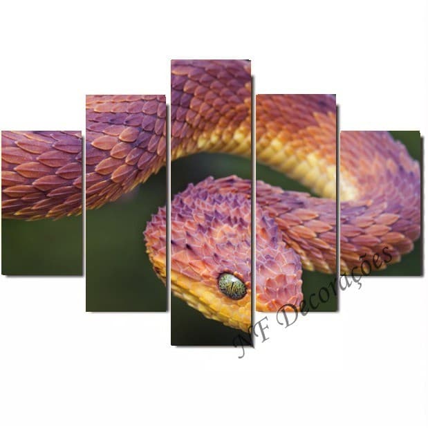 Quadros Serpente Cobra Decorativo Mosaico 06mmmdf