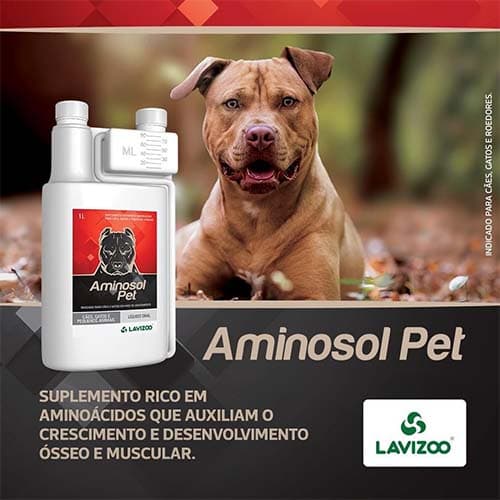 Aminosol Pet Pitbull 1l - Suplemento Vitamínico e Aminoácido para Cães - Desenvolvimento Muscular