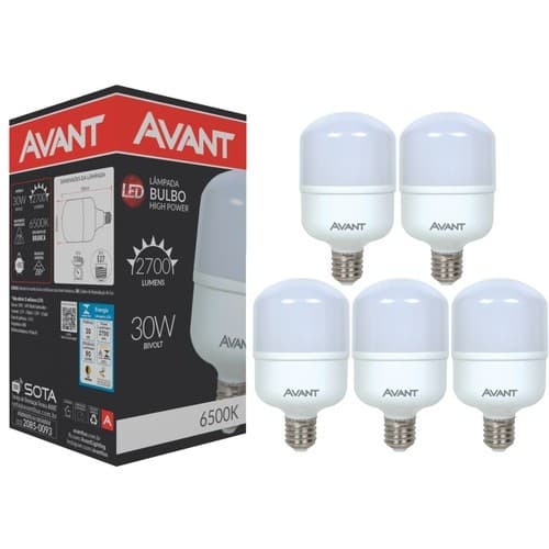 Kit 5 Lampadas Led Bulbo 30w 6500k