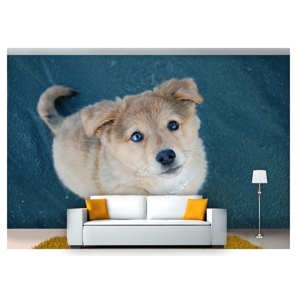 papel de parede Animais cachorro grama 3D 7,5m² ANM170