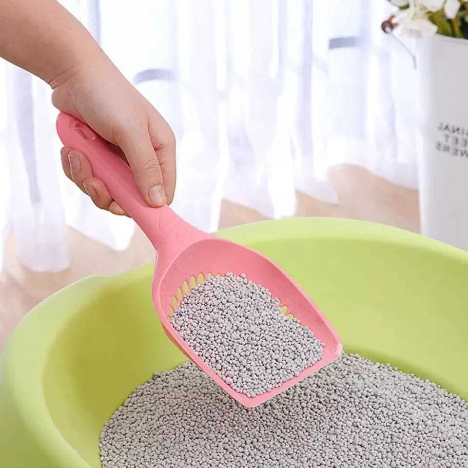 Pá cata Coco Pazinha Coletora Caixa de Areia Granulado Para Gatos  Banheiro