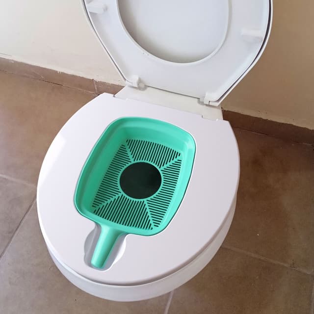 Wc Para Gatos Gatoalete Sanitário Cat Pratico E Econômico Banheiro para Gato