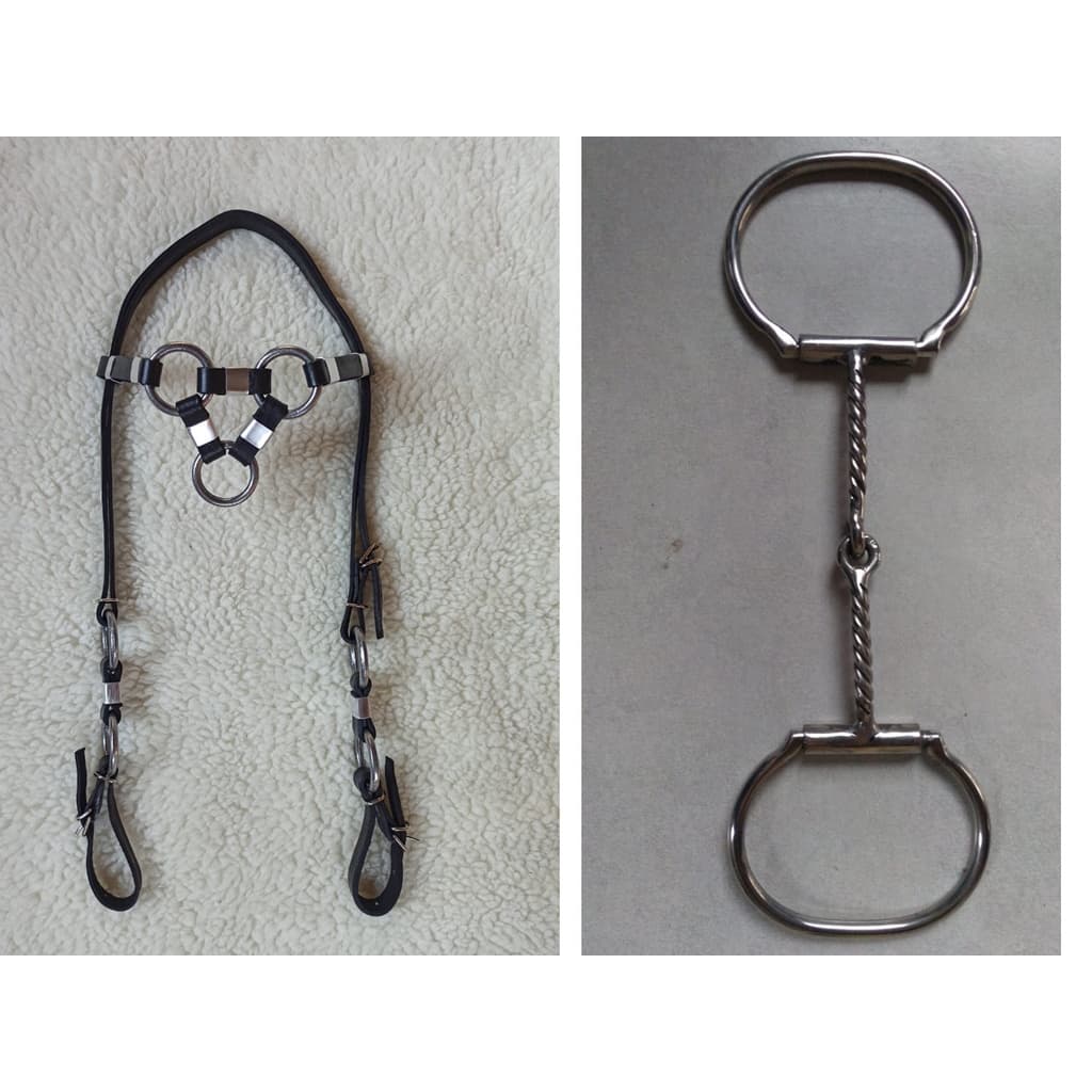 Kit Cabeçada 3 Argolas + Bridão D Bocal torcido