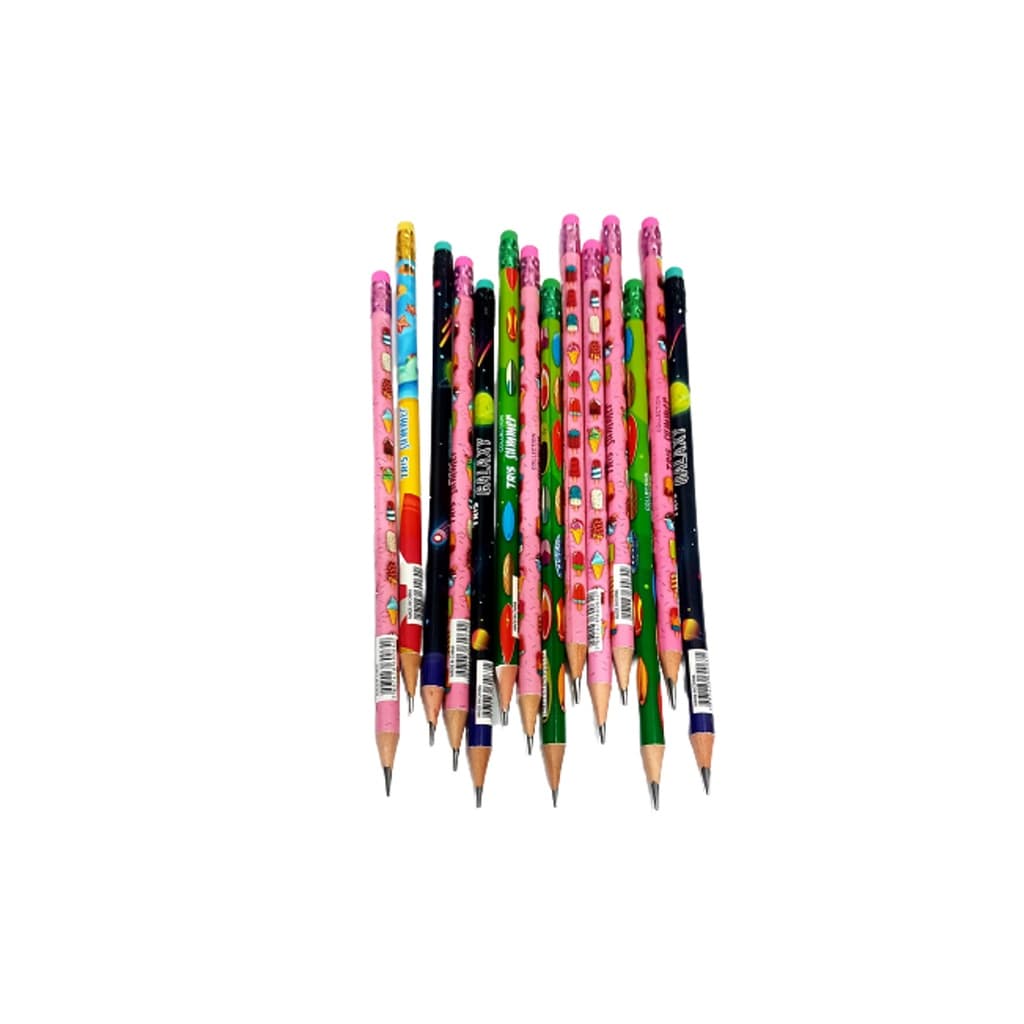 Kit com 20 Lápis de Escrever Com Borracha Modelos Variados