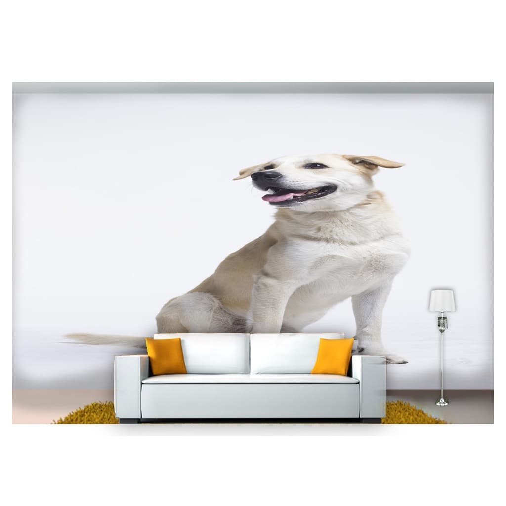 papel de parede Animais cachorro sentado 3D m² ANM234