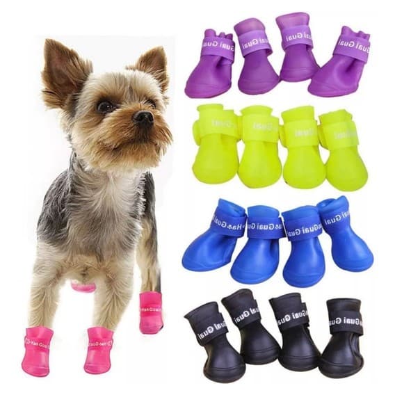 Sapato Para Cachorro Botinha Antiderrapante Impermeável