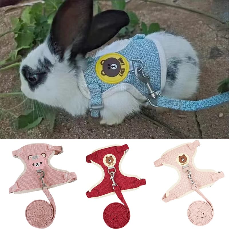 Impressão Dos Desenhos Animados Do Gato Coelho Arnês E Trela Set Coelhos Pet Acessórios Bunnies Colete Roupas lapin