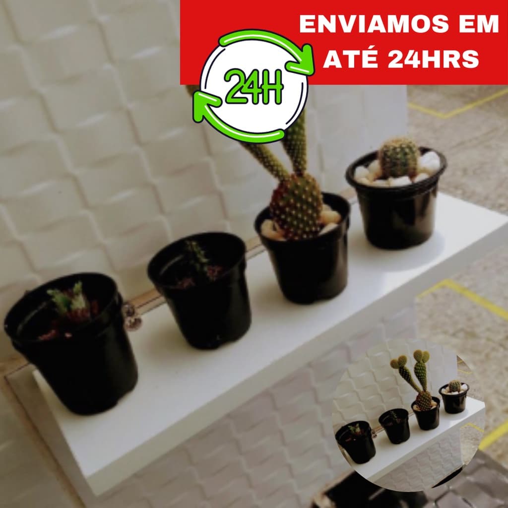 1 Prateleira branca reta decoração quarto sala fotos suculentas 40x10