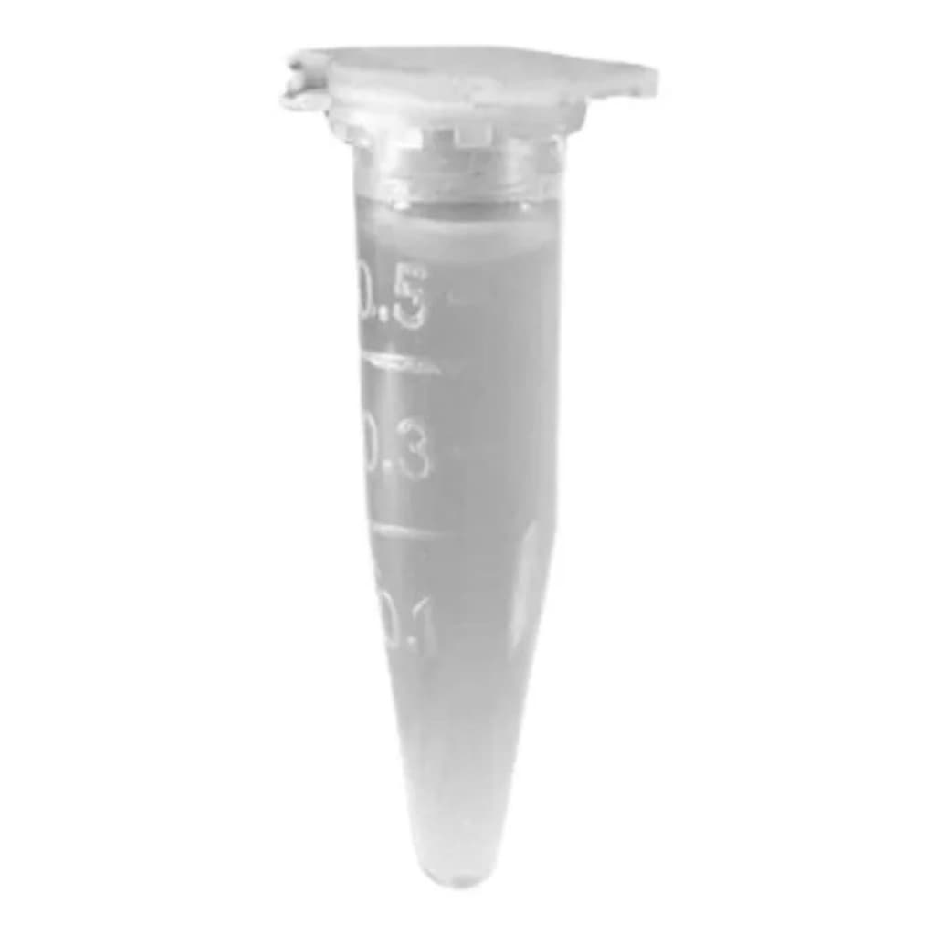 Microtubo Pino 0,5ml Kasvi Cor Neutra (incolor) C/1000 Unidades Fundo Cônico Mini Frasco Capa