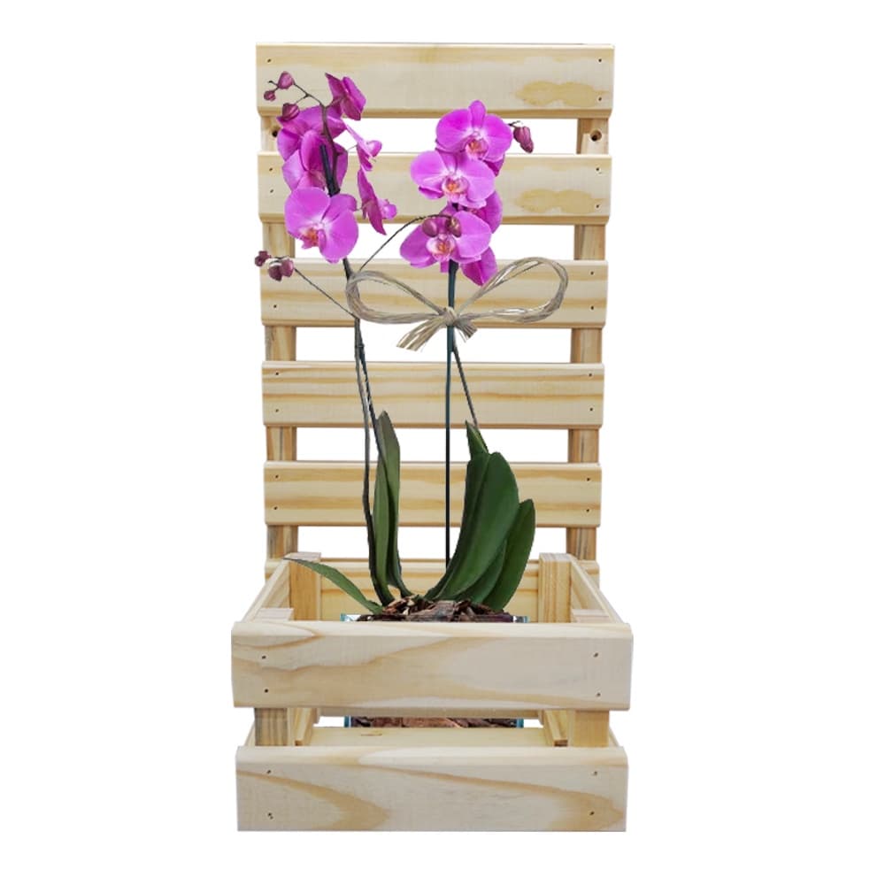 Painel Floreira Treliça Jardim Vertical Cachepot Orquideas