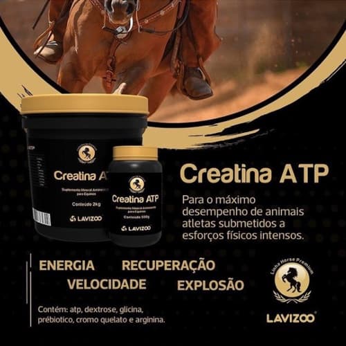 Creatina ATP Lavizoo 2kg Suplemento Premium para Equinos em Treinamento
