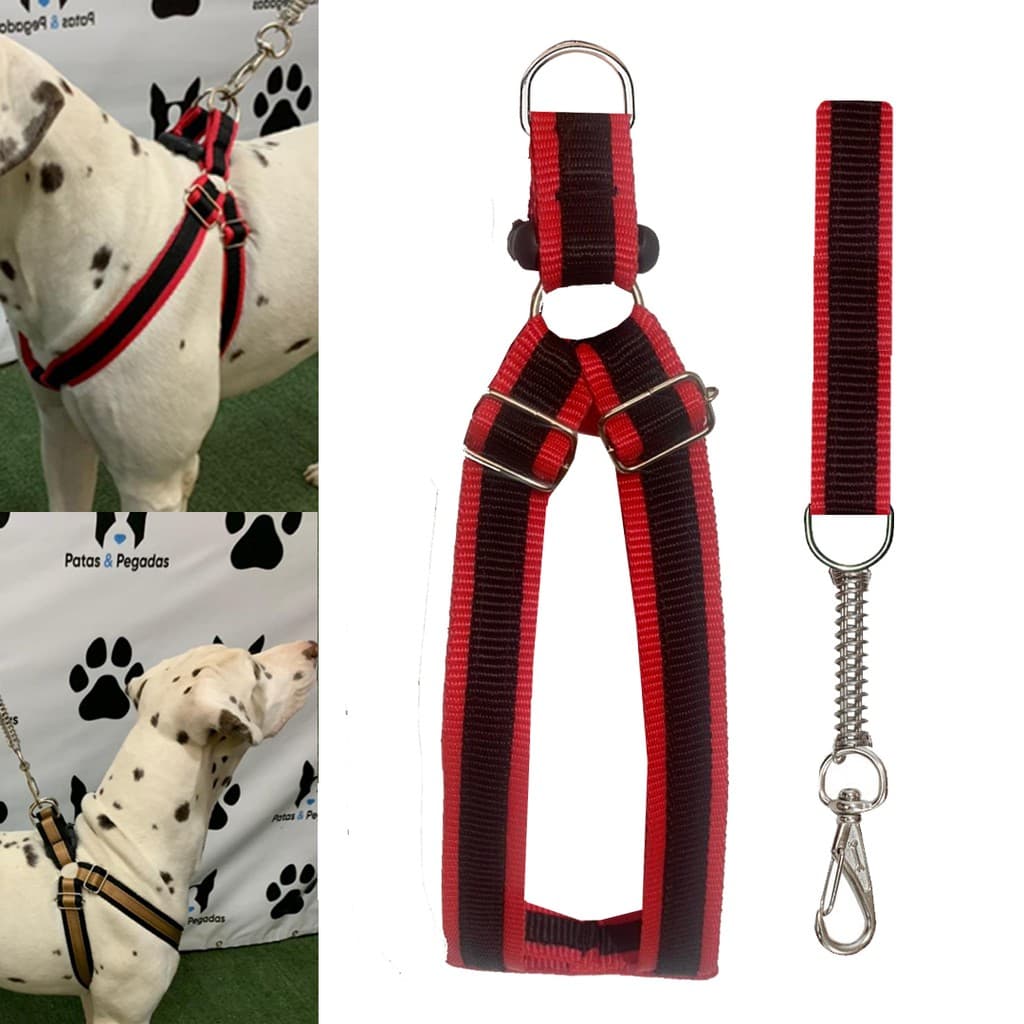 Coleira Peitoral Cachorro Guia Doberman Pitbull Anti Puxão Fita Dupla Resistente